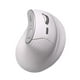 thumbnail image 1 of Mouse Ergonomico ACTECK VIRTUOS FITT PRO MI770 1600dpi Inalambrico 8 botones Blanco AC-936217, 1 of 7