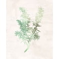 thumbnail image 2 of Kimberly, Allen 20x24 White Modern Wood Framed Museum Art Print Titled - Watercolor Herb 1, 2 of 4
