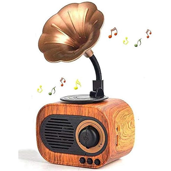 wonima11 Retro Music Speaker Vintage Wireless Portable Outdoor Speakers Loud Stereo Sound Rechargeable Speaker Built in Mic Support Answering Calls USB TF Card AUX for Home Party Office