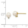 thumbnail image 3 of Primal Gold 14 Karat Yellow Gold 5-6mm White Round Saltwater Akoya Cultured Pearl Diamond Post Earrings, 3 of 3