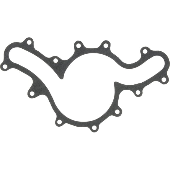 VRZ 71-14669-00 Engine Water Pump Gasket
