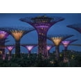thumbnail image 2 of Zuckerman, Jim 32x23 White Modern Wood Framed Museum Art Print Titled - Singapore Garden by the Sea towers at night, 2 of 4
