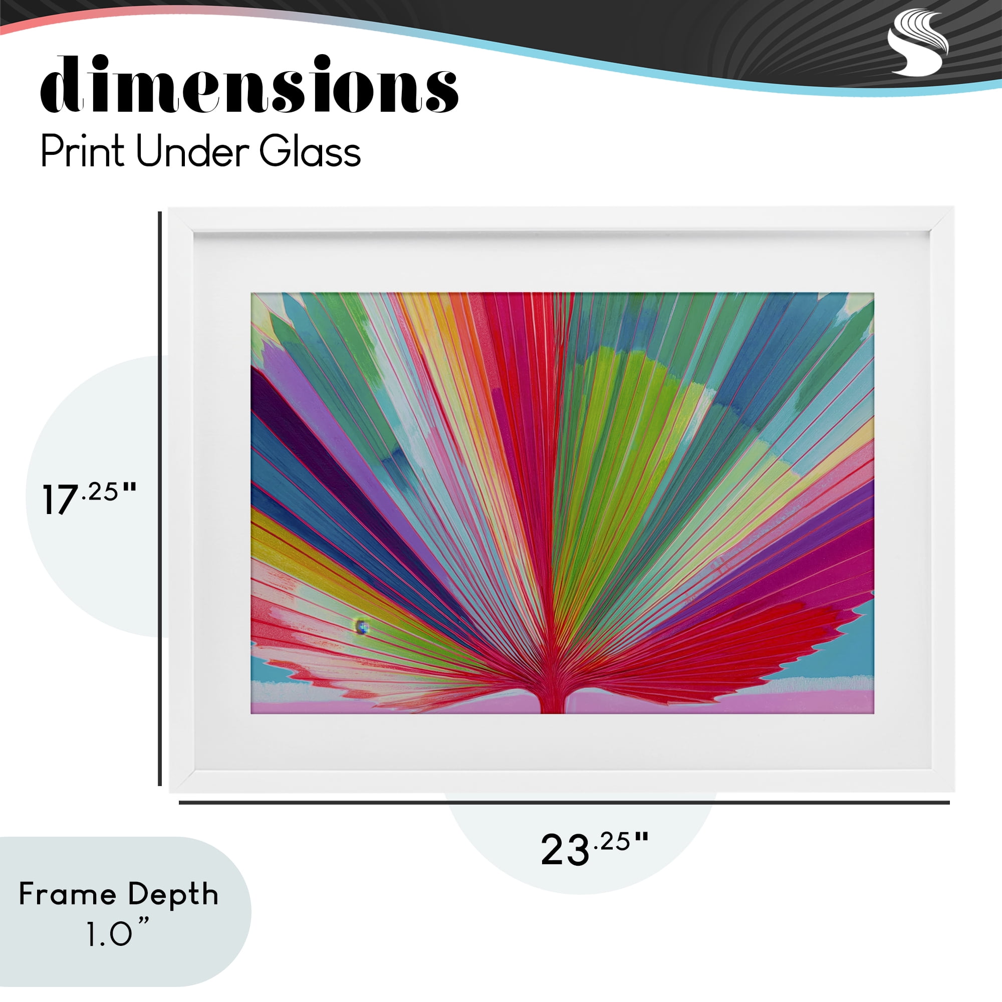 Stupell Industries Palm Fan In Spectrum White Framed Print Under Glass, design by Chromatic Storm Studio