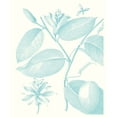 thumbnail image 2 of Vision Studio  26x30 Black Ornate Wood Framed with Double Matting Museum Art Print Titled - Botanical Study in Spa III, 2 of 4