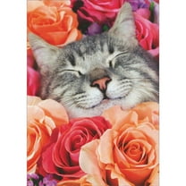 Avanti Press Smiling Gray and White Cat Face Inside Pink and Peach Roses Valentine's Day Card