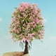 thumbnail image 2 of 1/50 árboles Modelo Modelo árbol Para Paisajismo Ferroviario - re, 2 of 8