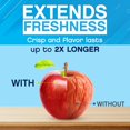 thumbnail image 2 of Refrigerator Deodorizer – Odor Eliminator for Fridge & Freezer – Outshines Baking Soda & Deodorizer with Activated Charcoal – Unscented & Long-Lasting, Freshen Refrigerator (2-Count), 2 of 4