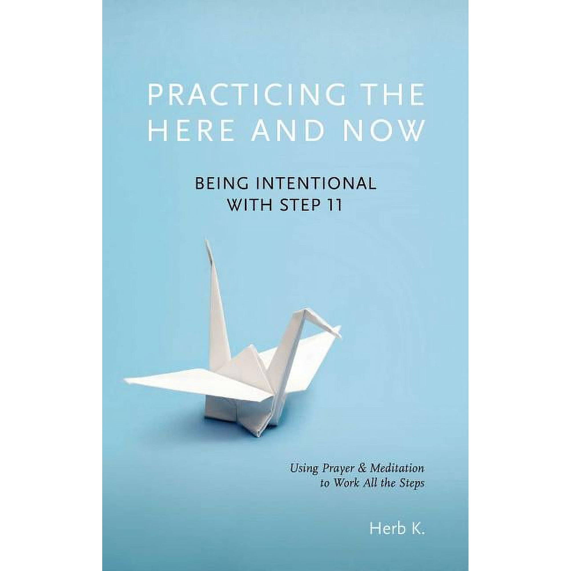 Practicing the Here and Now: Being Intentional with Step 11, Using Prayer & Meditation to Work All the Steps, (Paperback)