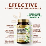 Premium Probiotics - 100 Billion CFU Per Serving - 10 Strains + Prebiotics - Best Women & Men's Gut Health Supplement, Supports Immune - Digestive Health & Occasional Constipation & Gas - 60 Capsules