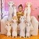 thumbnail image 4 of Lindo Gato de Peluche Almohada de Cuerpo Largo Abrazo Dibujos Animados Animales de Peluche Gato Peluche Suave muñeca Almohadas Regalos para niños niñas (70cm, Orange) Xishao Juguetes, 4 of 4