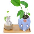 thumbnail image 2 of Platillo de bambú para plantas, miniplato rectangular de bambú para macetas, bandeja para jardineras de bonsái, platillo de drenaje de bambú para plantas del hogar, 2 of 5