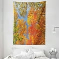 thumbnail image 1 of Leaves Tapestry, Falls Colors National Country Park Nature Observation Base Perspective Photo, Wall Hanging for Bedroom Living Room Dorm Decor, 60W X 80L Inches, Orange Blue Green, by Ambesonne, 1 of 2