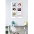 thumbnail image 2 of Keith Kimberlin - Kittens Wall Poster, 22.375" x 34", 2 of 2