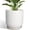 White, variant on Ordivic 12 inch Extra Large White Ceramic Planter with Drainage Hole & Saucer –  Round Floor Flower Pot for Tall Houseplants, Indoor & Outdoor Garden Patio Decor
