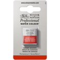 thumbnail image 1 of Winsor & Newton Professional Water Color Paint Half Pan Marrón Madder, 1 of 9