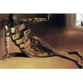 thumbnail image 2 of Salvador Dali, The Anthropomorphic Cabinet, 1936- CANVAS OR PRINT WALL ART, 2 of 2