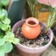 thumbnail image 3 of Naiovety Gotero de cerámica para plantas, gotero automático para plantas bonsái de alto rendimiento y amplia aplicación, 4 pack/lote Jardín y Patio, 3 of 6