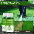 thumbnail image 2 of Cadorn 2 - Pack Rejuvenation Liquid Spray for Garden Restoration – 118ML Multicolor Formula for Restoring Dry Spots, 2 of 9