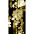 thumbnail image 3 of Carrigan, Kate 14x24 Black Modern Framed Museum Art Print Titled - Golden Reflections Triptych III, 3 of 5