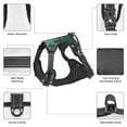 thumbnail image 6 of Haiem Baroque Floral Still Life Pattern No-Pull Dog Harness Reflective Front Clip Vest with Handle,Step-in Air Dog Harness,Adjustable 2 Metal Rings 4 Buckles-Medium, 6 of 6