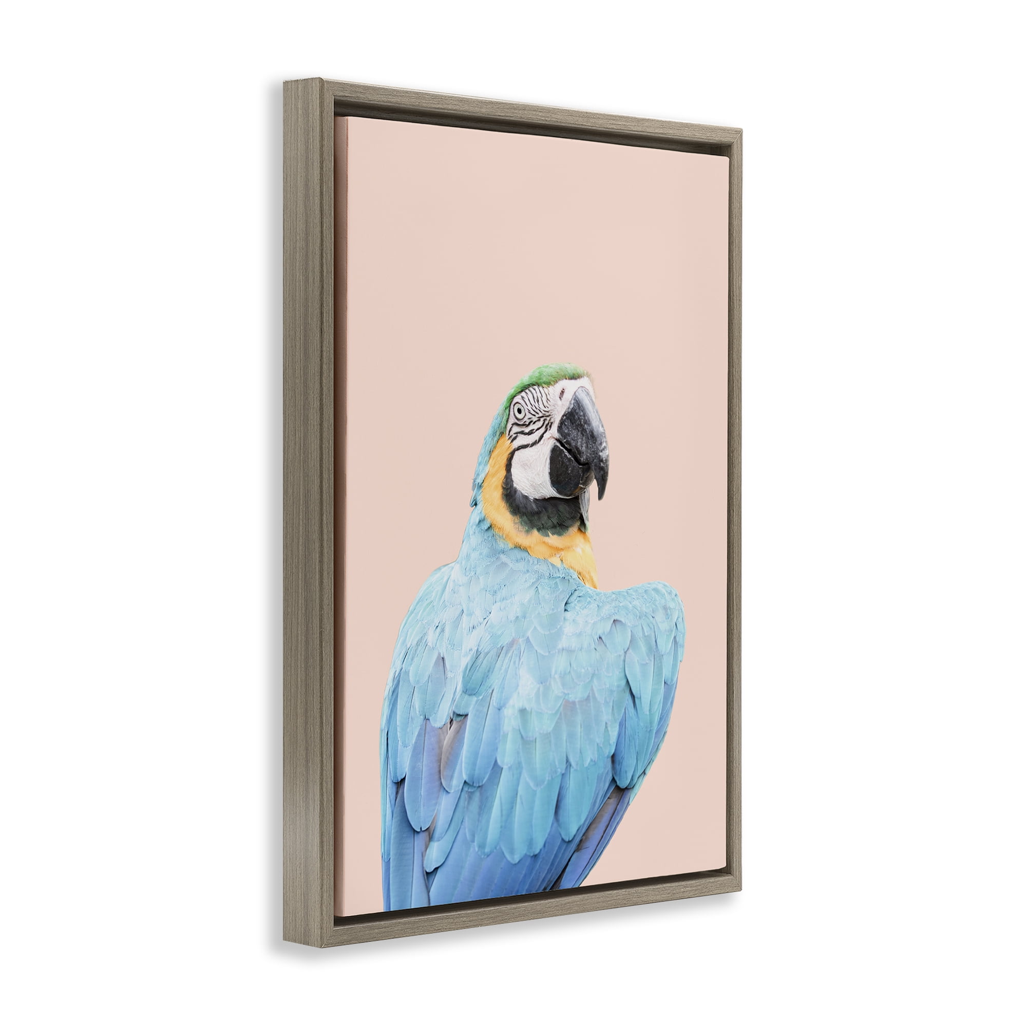 Stupell Industries Blue Ara Macaw Animals Painting Brown Floater Framed Canvas Art Print Wall Art, 21 x 31