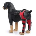 thumbnail image 1 of Double Rear Leg Protection Dog Knee Brace For Acl Knee Cap Dislocation Arthritis Keeps The Warm Extra Support Z, 1 of 5