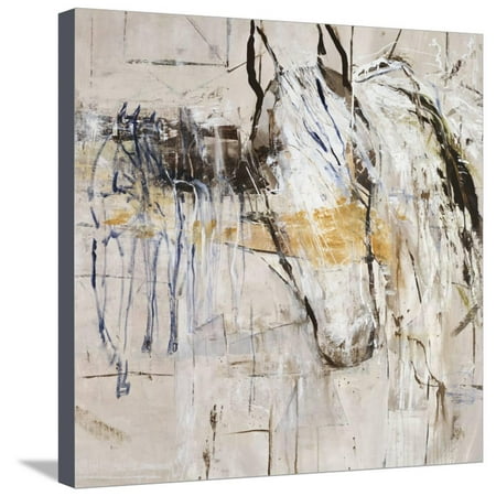 - Palomino Twist Horse Animal Art Stretched Canvas Print Wall Art By Jodi Maas