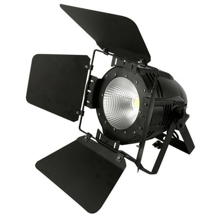 100W COB LED Stage Par Light Cool & Warm White PAR64 DMX-512 or Panel Option Model A