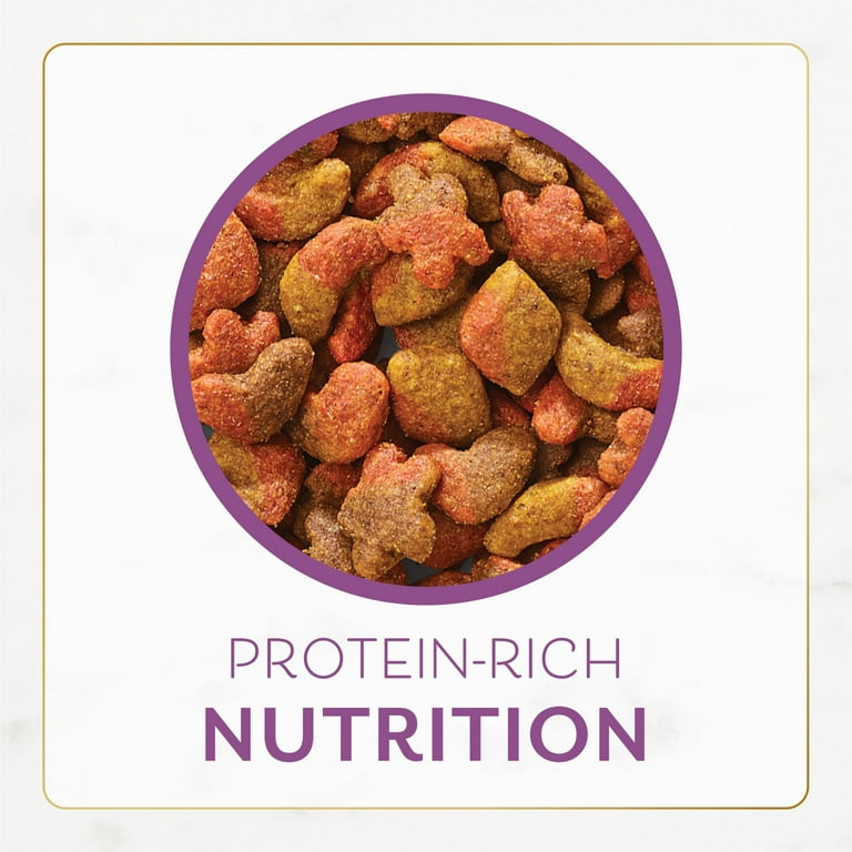 Fancy feast 2024 dry cat food