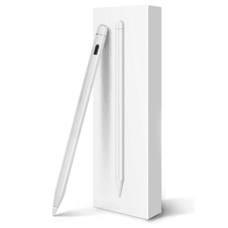 Zyerch Stylus Pen for iPad 10th & 9th Gen, Fast Charging, Palm