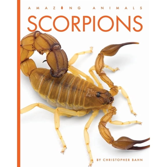 Scorpions, (Paperback)