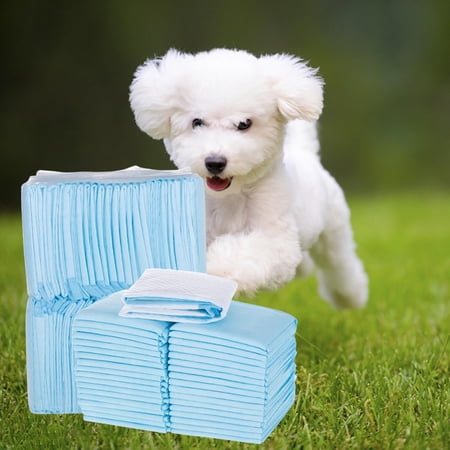 40Pcs Dog Training Pads Piddle Potty Mat Diapers Quick Drying Cage Accessories Extra Large Pet Pee Pad for Home Rabbits Doggy Puppy Supplies