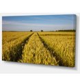 thumbnail image 2 of Rural Road through Wheat Field - Landscape Artwork Canvas, 2 of 3