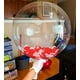 thumbnail image 1 of Globos Bobo de 20 Pulgadas Globos de Burbuja, 30 Pzas Globo Bobo Transparente, Globo de Bu Aredpoook Aredpoook, 1 of 2