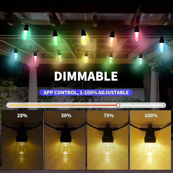 Homestead 2-Pack 24ft RGBW Color-Changing LED String Lights with Remote, Indoor/Outdoor, 24 Bulbs