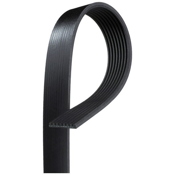 ACDelco V-Ribbed Serpen (B)