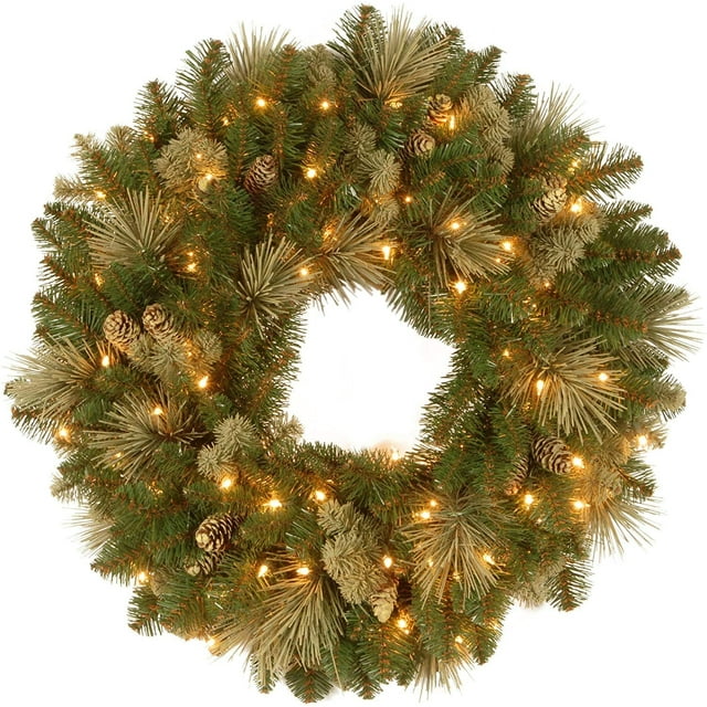 Pre-lit Artificial | Flocked with Cones and Pre-strung White Lights | Carolina Pine - 24 Inch