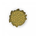 thumbnail image 5 of Floral Ottoman Cover, Sunflowers Nature Beauty, 2 Piece Slipcover Set with Ruffle Skirt for Square Round Cube Footstool Decorative Home Accent, Standard Size, Khaki and Olive Green, by Ambesonne, 5 of 5