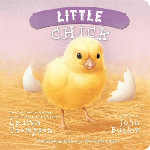 Pre-Owned Little Chick (Board book) 1442493119 9781442493117