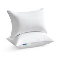 thumbnail image 1 of Insertos de almohada Oubonun Lumbar, 14 x 22 cm (juego de 2), color blanco, 1 of 8