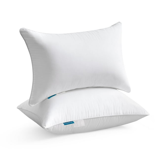 Insertos de almohada Oubonun Lumbar, 14 x 22 cm (juego de 2), color blanco