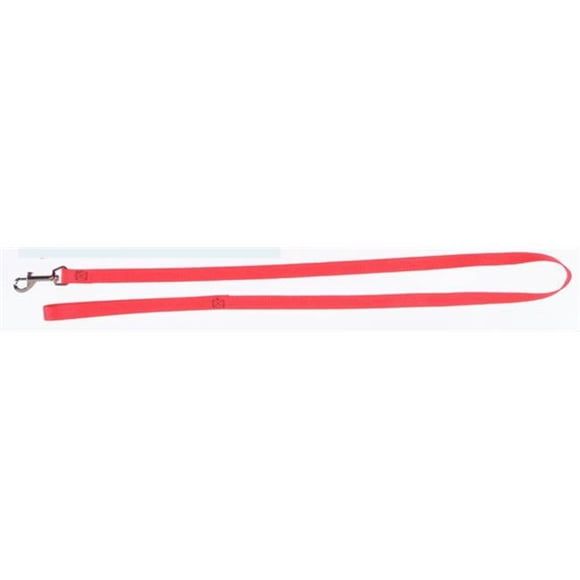 Boss Pet 171393929 2930002 0.62 x 48 in. Nylon Lead, Blue