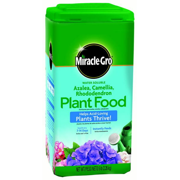 Miracle Gro Water Soluble Azalea, Miracle Grow For Gardenias