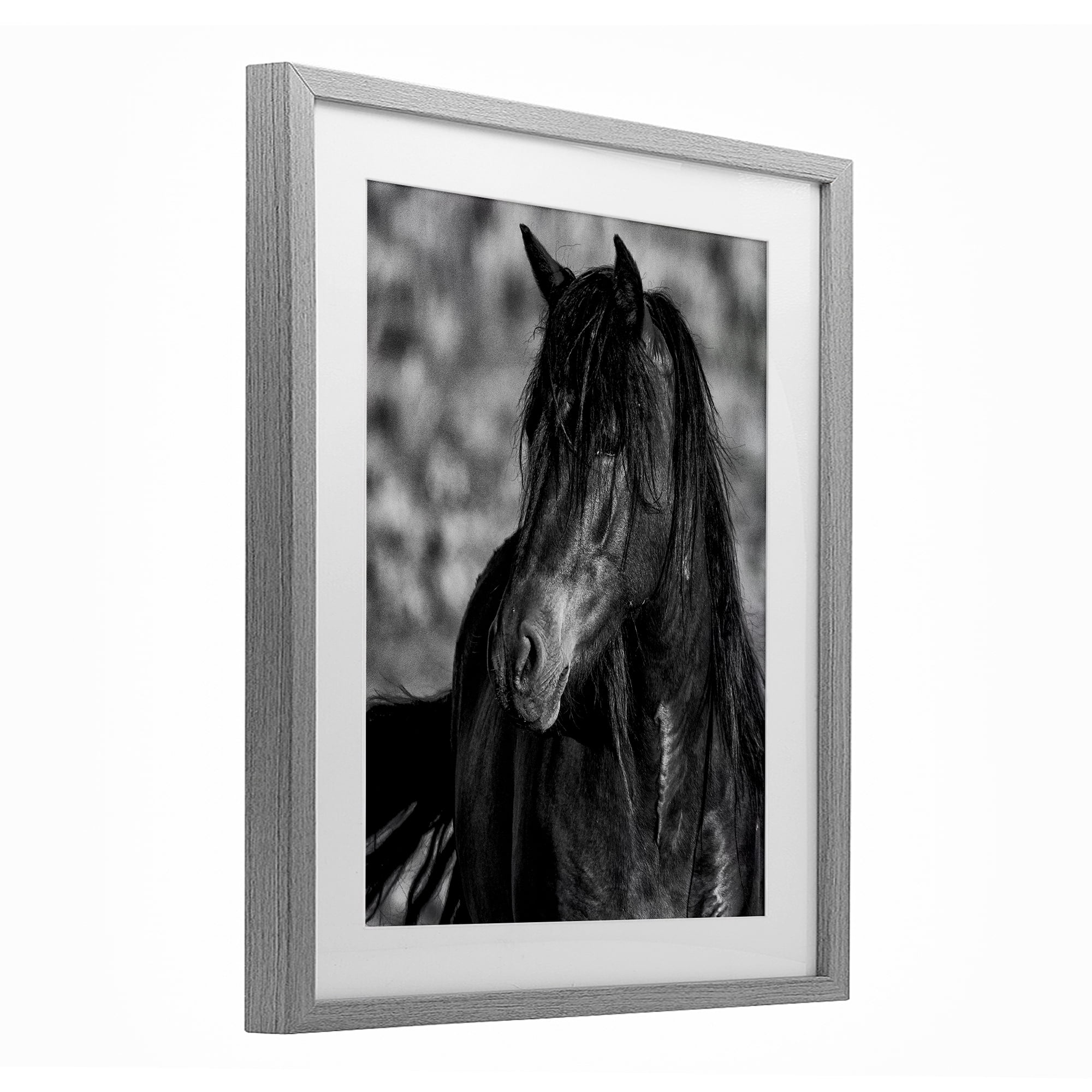 Stupell Industries Beauty In Black Gray Framed Print Under Glass, design by Tim West