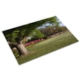 thumbnail image 3 of Print: Bellingrath Gardens And Home, The Creation Of Mr. And Mrs. Walter, 3 of 4