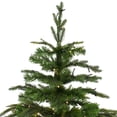 thumbnail image 4 of Northlight 6.5' Pre-Lit Roosevelt Fir Artificial Christmas Tree - Clear Lights, 4 of 7