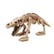 thumbnail image 1 of Billuyoard Adorno de esqueleto de lagarto, accesorios de hueso, decoraciones, esqueletos de animales, manualidades, casa de emulación de fiesta Decoración del hogar, 1 of 6
