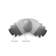 thumbnail image 2 of Walleva Transition/Photochromic Polarized Vented Replacement Lenses for Oakley Racing Jacket Sunglasses, 2 of 5