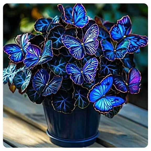 Garden Elegance Decor/ Hostas/rhizomes/ Plants For Planting/ Premium Garden Stakes Perfect for Garden/ Striking