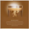 thumbnail image 5 of Nescafe Dolce Gusto, NES33903, Cafe Au Lait Coffee, 16 / Box, 5 of 5